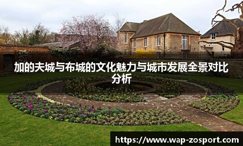 中欧体育官方网站